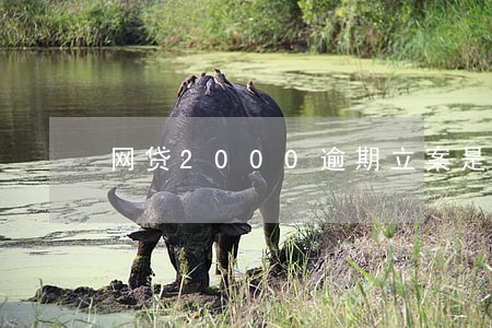 网贷2000逾期立案是真的吗 网贷2000逾期立案是真的吗