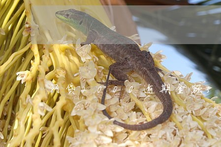 网贷2000逾期金额500 网贷2000逾期金额500