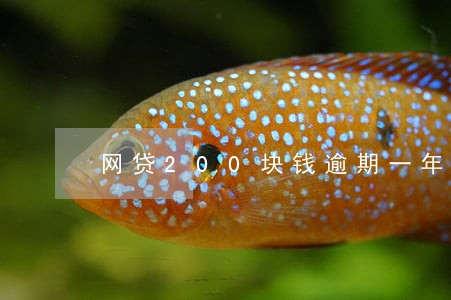 网贷200块钱逾期一年 网贷200块钱逾期一年