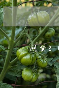 网贷2014年有逾期 网贷2014年有逾期