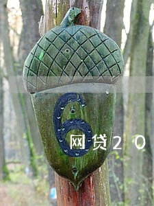 网贷2020年逾期情况 网贷2020年逾期情况