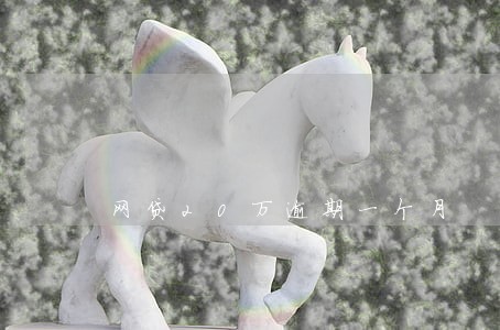 网贷20万逾期一个月 网贷20万逾期一个月