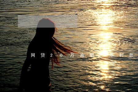 网贷20万逾期一年利息多少 网贷20万逾期一年利息多少