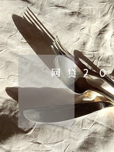 网贷20万逾期无法偿还 网贷20万逾期无法偿还
