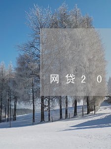 网贷20万逾期还不上 网贷20万逾期还不上