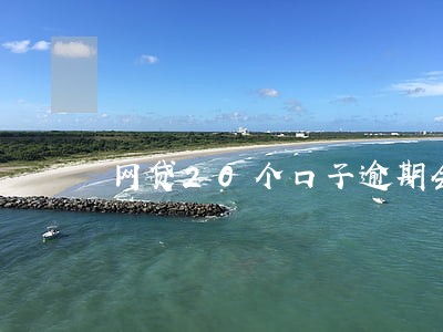 网贷20个口子逾期会怎样