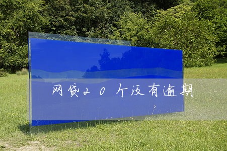 网贷20个没有逾期 网贷20个没有逾期