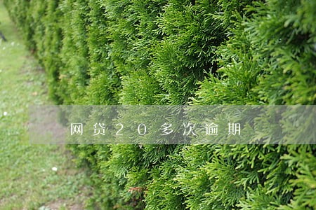 网贷20多次逾期 网贷20多次逾期
