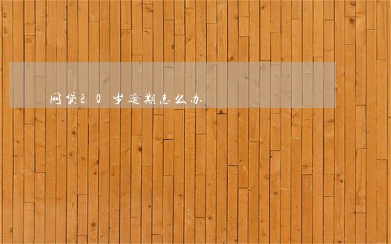 网贷20岁逾期怎么办 网贷20岁逾期怎么办