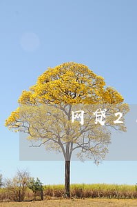 网贷21条逾期记录 网贷21条逾期记录