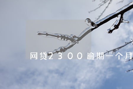 网贷2300逾期一个月 网贷2300逾期一个月