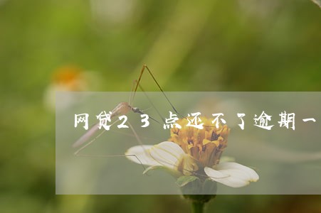 网贷23点还不了逾期一天