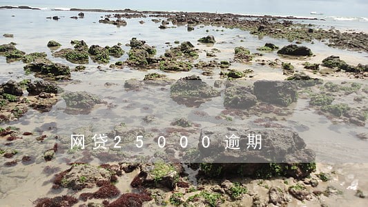 网贷25000逾期 网贷25000逾期