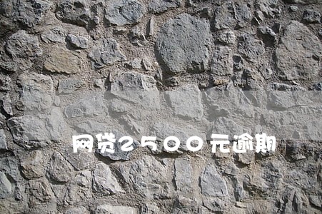 网贷2500元逾期 网贷2500元逾期