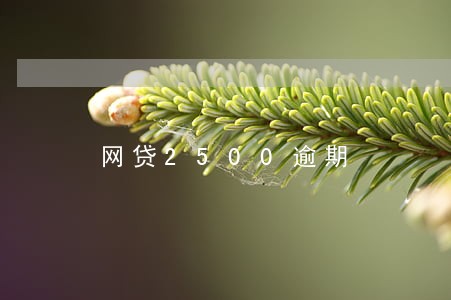 网贷2500逾期 网贷2500逾期