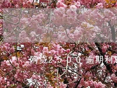 网贷2500逾期利息100 网贷2500逾期利息100