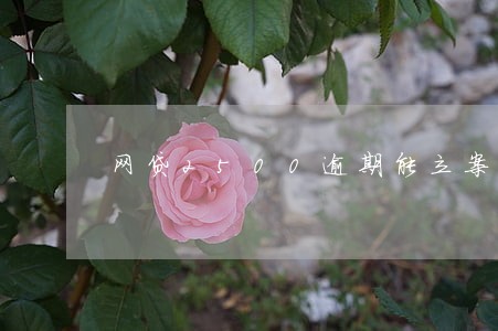 网贷2500逾期能立案吗 网贷2500逾期能立案吗