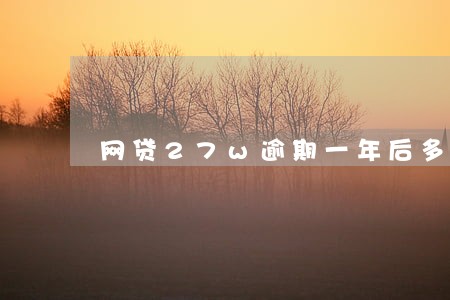 网贷27w逾期一年后多少钱
