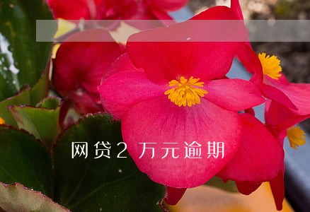 网贷2万元逾期