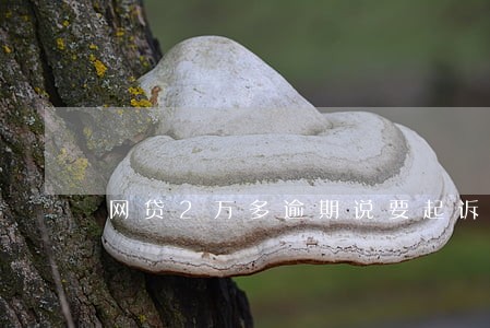 网贷2万多逾期说要起诉 网贷2万多逾期说要起诉