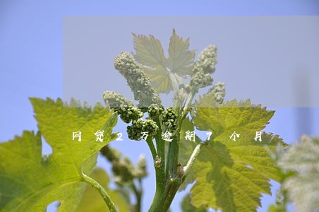 网贷2万逾期7个月 网贷2万逾期7个月