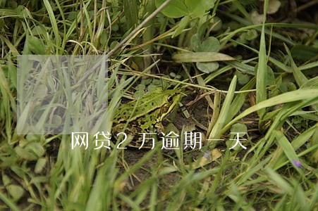 网贷2万逾期一天 网贷2万逾期一天