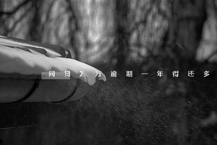 网贷2万逾期一年得还多少 网贷2万逾期一年得还多少