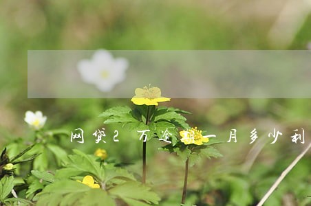 网贷2万逾期一月多少利息 网贷2万逾期一月多少利息
