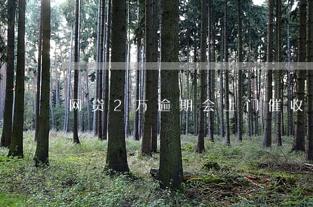 网贷2万逾期会上门催收吗 网贷2万逾期会上门催收吗