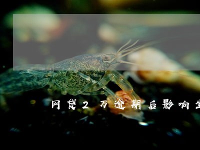 网贷2万逾期后影响坐飞机吗 网贷2万逾期后影响坐飞机吗