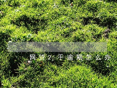 网贷2千逾期怎么办 网贷2千逾期怎么办