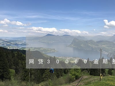 网贷30000逾期多久能立案吗 网贷30000逾期多久能立案吗