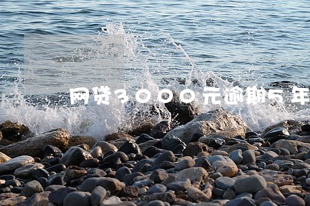 网贷3000元逾期5年多少 网贷3000元逾期5年多少