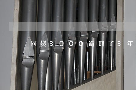 网贷3000逾期了3年要还多少
