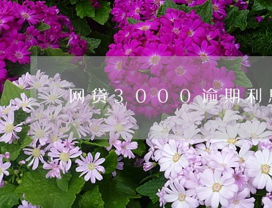 网贷3000逾期利息多少 网贷3000逾期利息多少