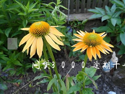网贷3000逾期十年 网贷3000逾期十年