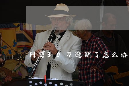 网贷30万逾期了怎么协商 网贷30万逾期了怎么协商