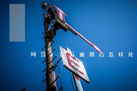 网贷30万逾期后怎样处理 网贷30万逾期后怎样处理