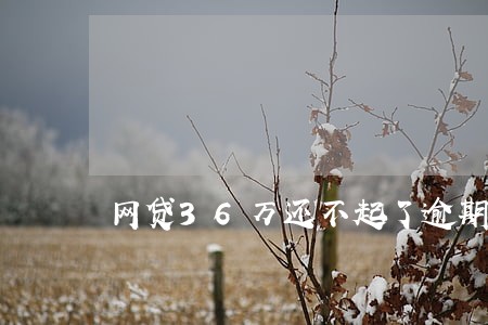 网贷36万还不起了逾期不管了 网贷36万还不起了逾期不管了