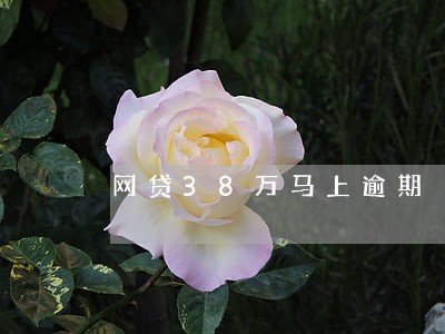 网贷38万马上逾期 网贷38万马上逾期