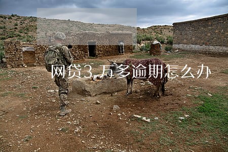 网贷3万多逾期怎么办 网贷3万多逾期怎么办