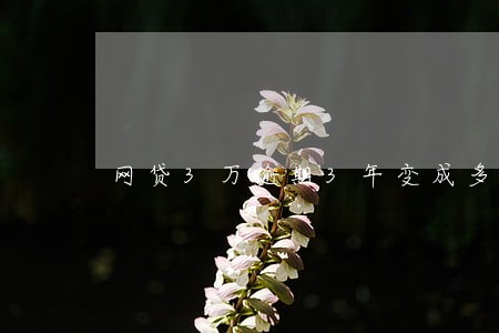 网贷3万逾期3年变成多少钱 网贷3万逾期3年变成多少钱