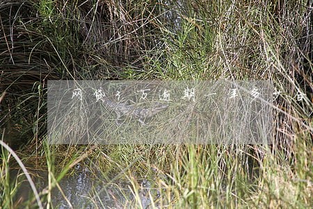 网贷3万逾期一年多少合法 网贷3万逾期一年多少合法