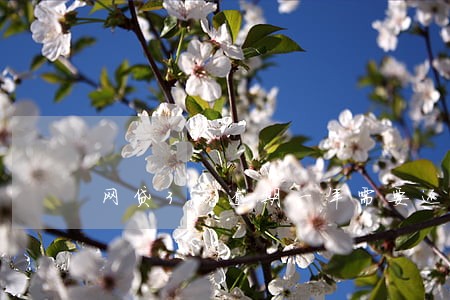 网贷3万逾期一年需要还多少 网贷3万逾期一年需要还多少