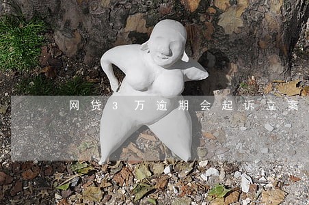 网贷3万逾期会起诉立案吗 网贷3万逾期会起诉立案吗