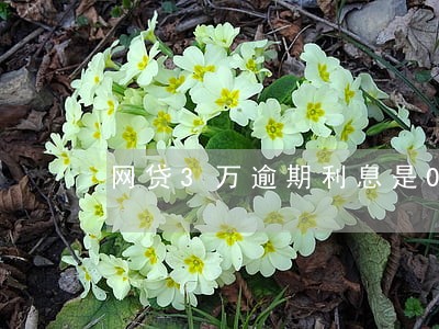 网贷3万逾期利息是006 网贷3万逾期利息是006