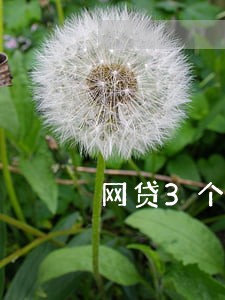 网贷3个月内没有逾期 网贷3个月内没有逾期