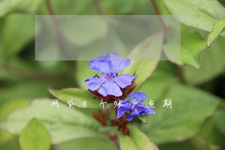 网贷3个账户逾期 网贷3个账户逾期