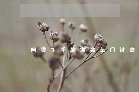 网贷3千逾期会上门讨款吗