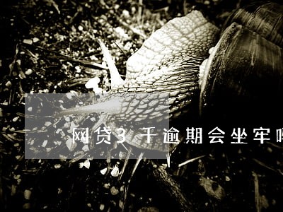 网贷3千逾期会坐牢吗 网贷3千逾期会坐牢吗